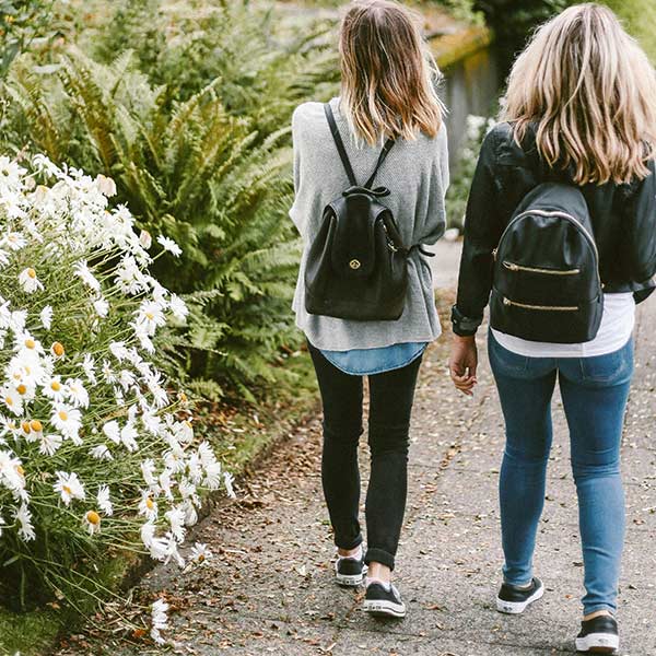 Les alentours du gîte / de la maison en location à Charolles : la campagne avec tout à pied.